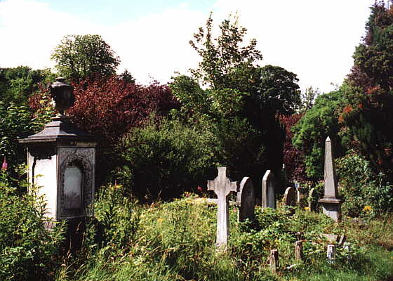 More overgrown graves - Arno's Vale Cemetery