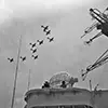 A squadron of Sea Fury FB.11s