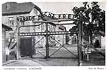 Arbeit Macht Frei