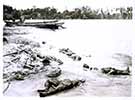 Dead Japanese on beach in South Pacific