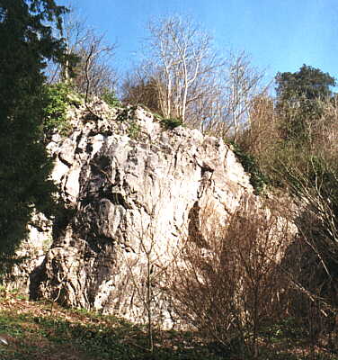 The lower edge of Lover's Leap