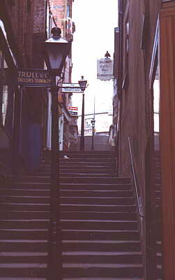 Christmas Steps