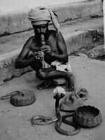 Snake charmer - Diyatalawa, Ceylon - 1951