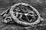 The funeral of A/B Jock Kerr, drowned whilst sailing on Victoria Lake, Rangoon, 1951. Photo from my dad's albums.