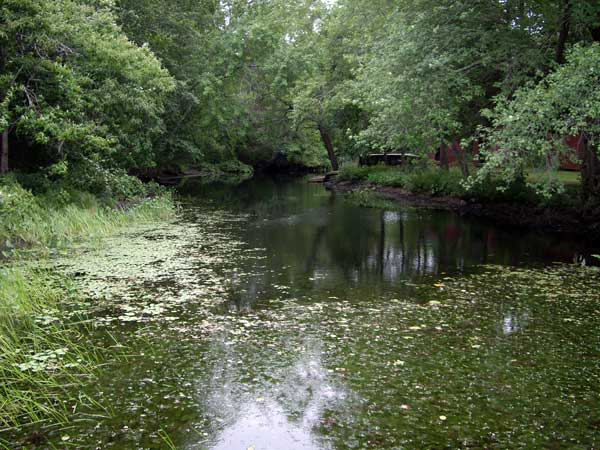 mill pond