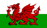 Welsh Flag