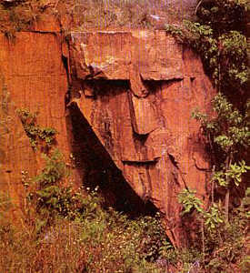 Rock face