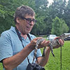 Alligator wrangling, Walnut Prairie Wildside, July 2019