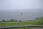 Zipline, Cape Enrage, Canada, August 2011