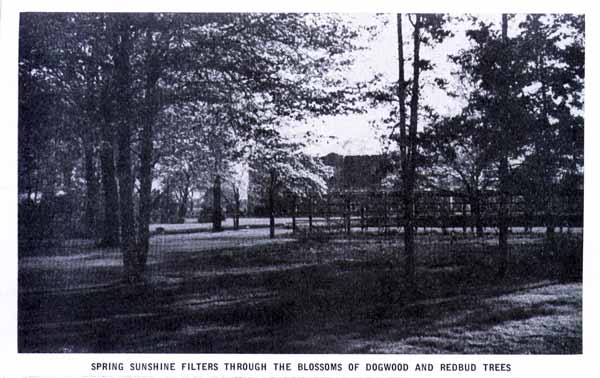 Campus, Gibault School for Boys, Terre Haute