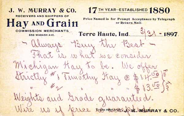 J. W. Murray Hay & Grain