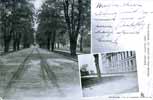 The Avenue, St. Mary of the Woods College