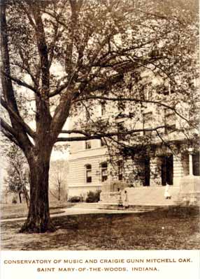 Conservatory of Music and Craigie Gunn Mitchell Oak, St. Mary of the Woods College