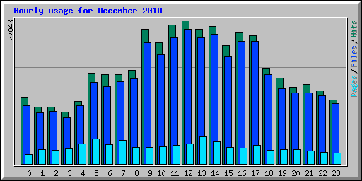 Hourly usage for December 2010