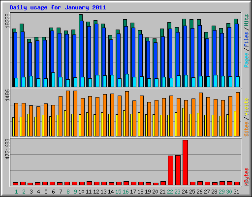 Daily usage for January 2011