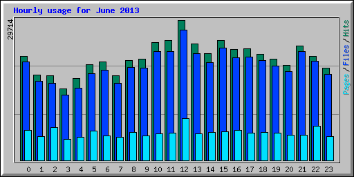 Hourly usage for June 2013