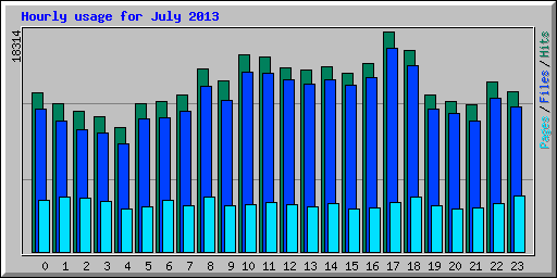 Hourly usage for July 2013