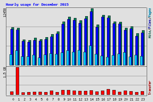 Hourly usage for December 2015