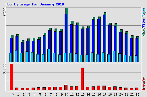 Hourly usage for January 2016