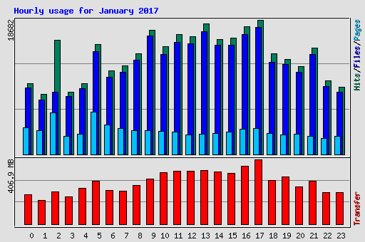 Hourly usage for January 2017