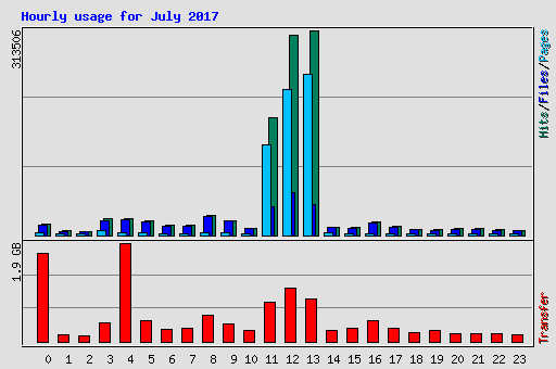 Hourly usage for July 2017