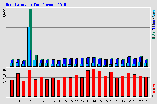 Hourly usage for August 2018