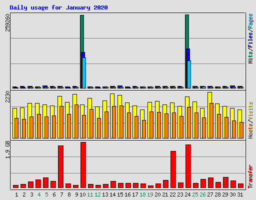 Daily usage for January 2020