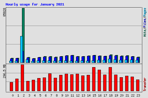 Hourly usage for January 2021