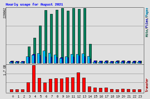 Hourly usage for August 2021