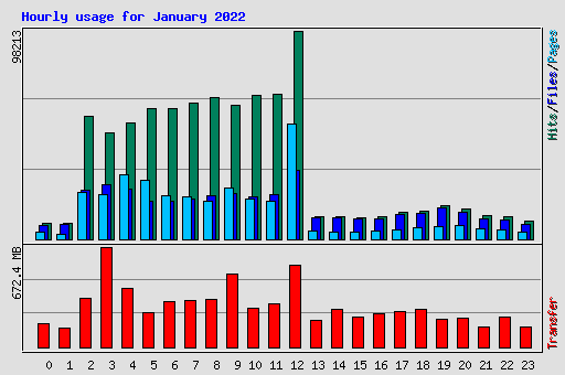 Hourly usage for January 2022