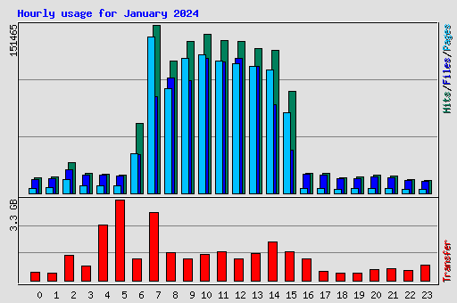 Hourly usage for January 2024