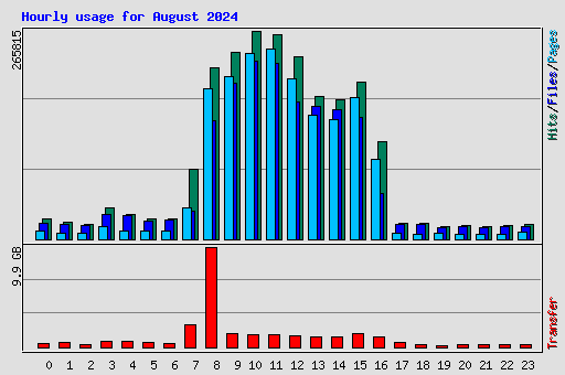 Hourly usage for August 2024