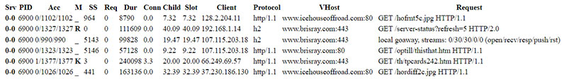 Apache server status thread key section